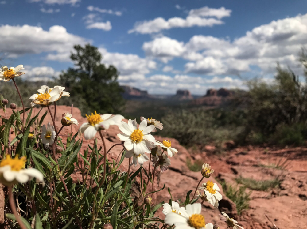 iPhoneography with Kelli Klymenko 9