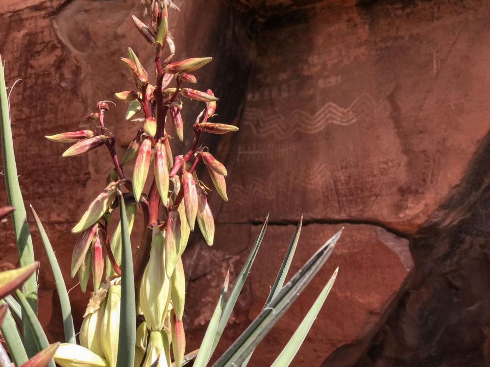 iPhoneography with Kelli Klymenko 6