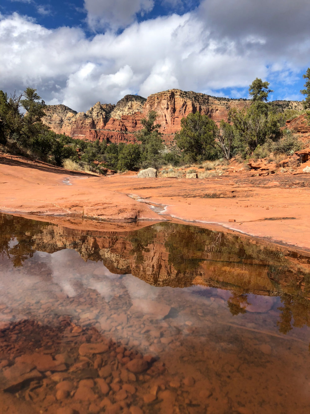 iPhoneography with Kelli Klymenko 2