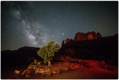 Juniper Under the Stars by Kelli Klymenko