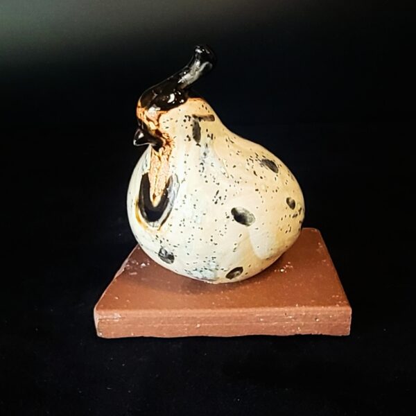 Adult Quail by Miro FitzGerald