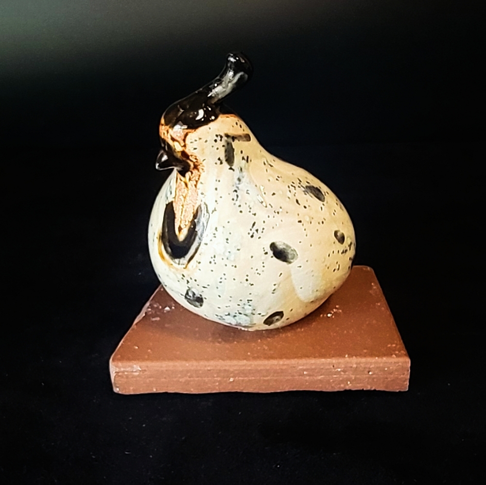 Adult Quail by Miro FitzGerald