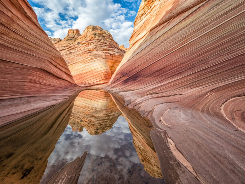 Water at the Wave by Elaine Belvin