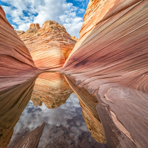 Water at the Wave by Elaine Belvin