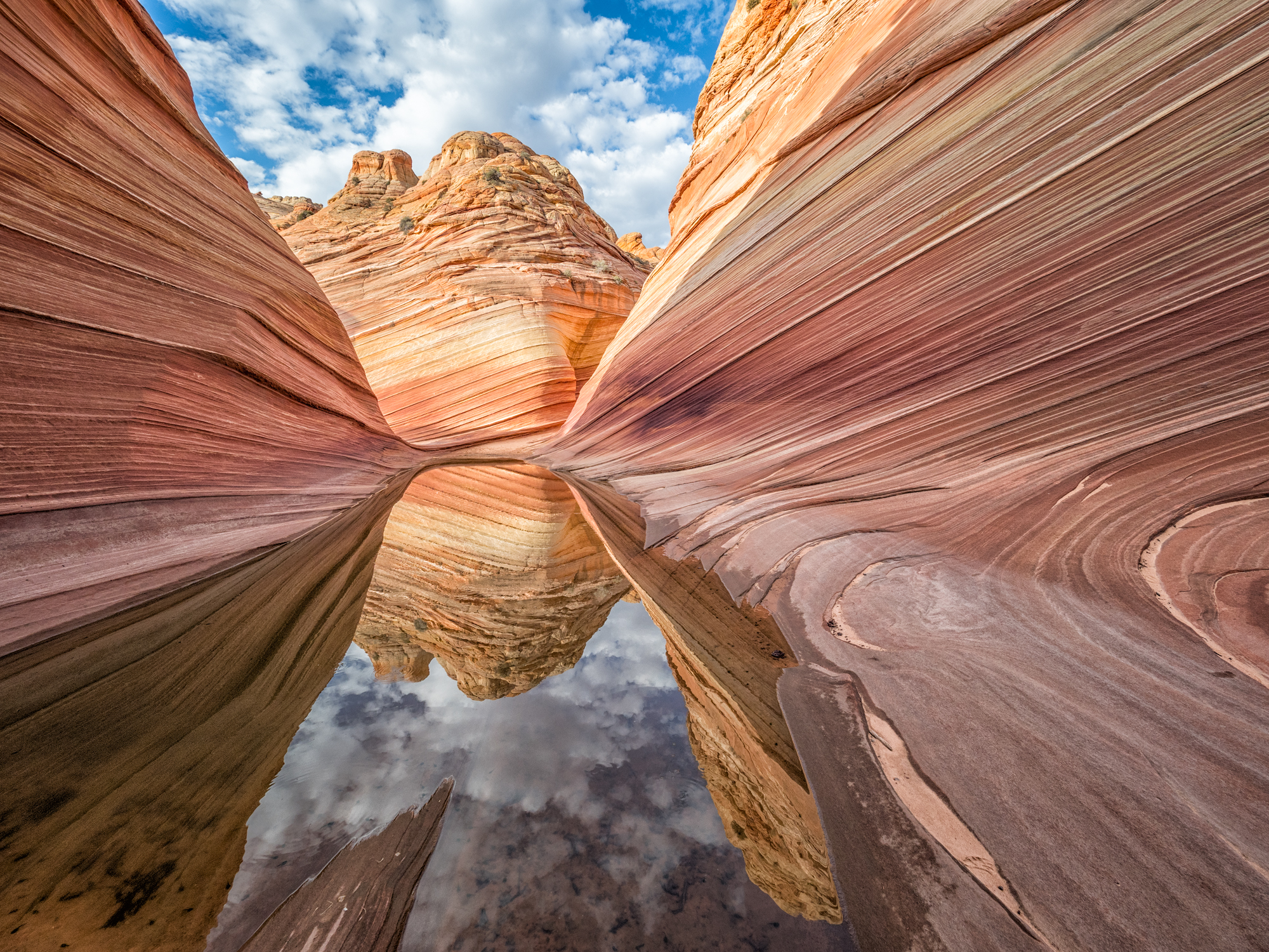 Water at the Wave by Elaine Belvin
