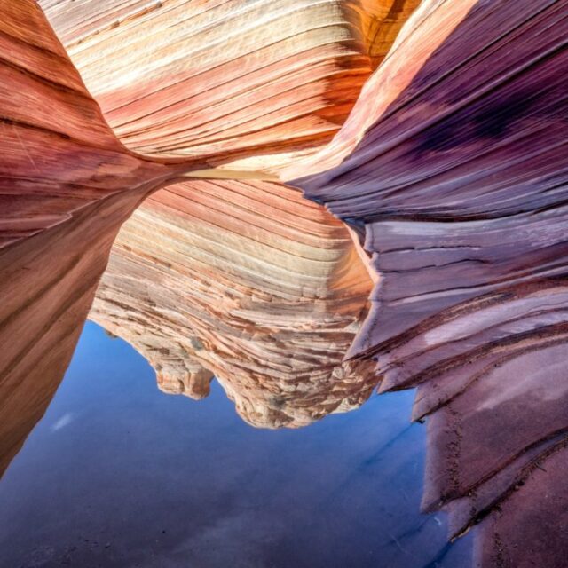 The Wave Reflected by Elaine Belvin