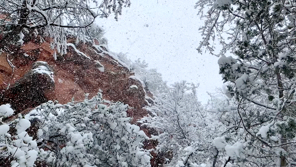 iPhoneography with Kelli Klymenko 5