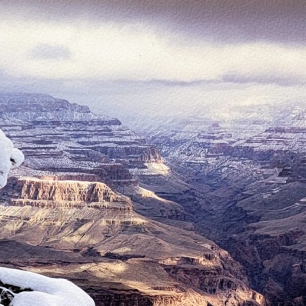 Christmas Portrait Grand Canyon Panoramic by A O Tucker