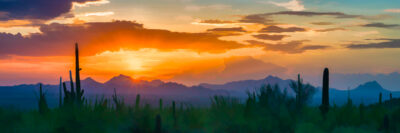 Painted Sunset from Saguaro National Park by A O Tucker