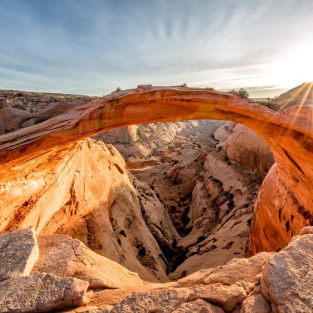 Eggshell Arch VII by Elaine Belvin