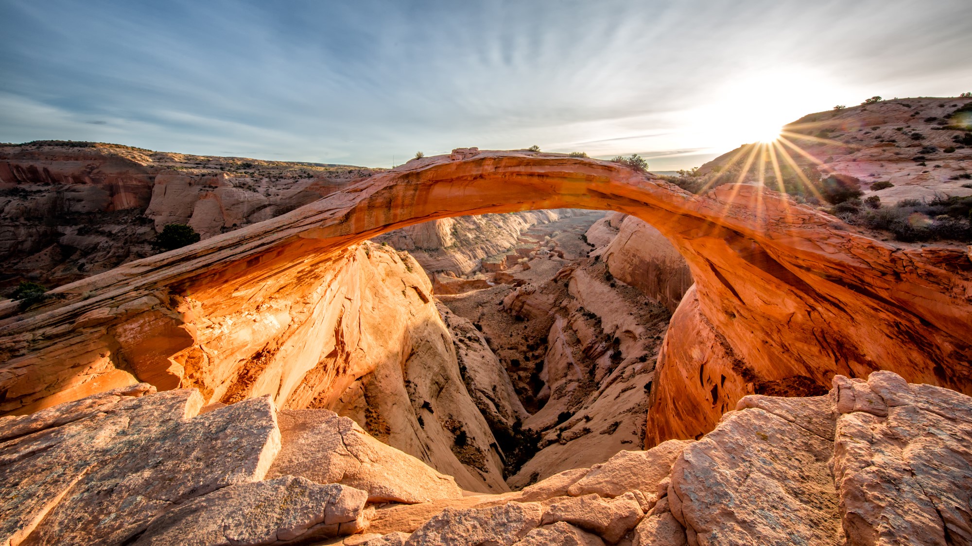 Eggshell Arch VII by Elaine Belvin