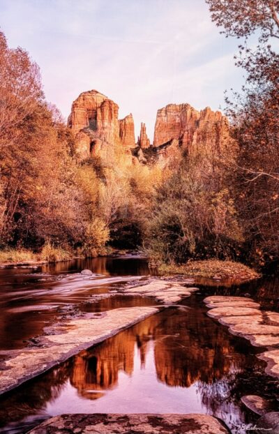 Cathedral in Autumn Attire by Elaine Belvin