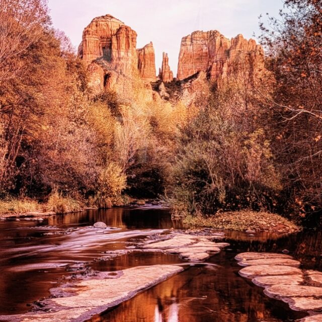 Cathedral in Autumn Attire by Elaine Belvin