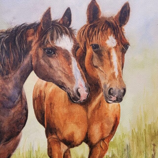 Friends in the Field by Debra Williamson