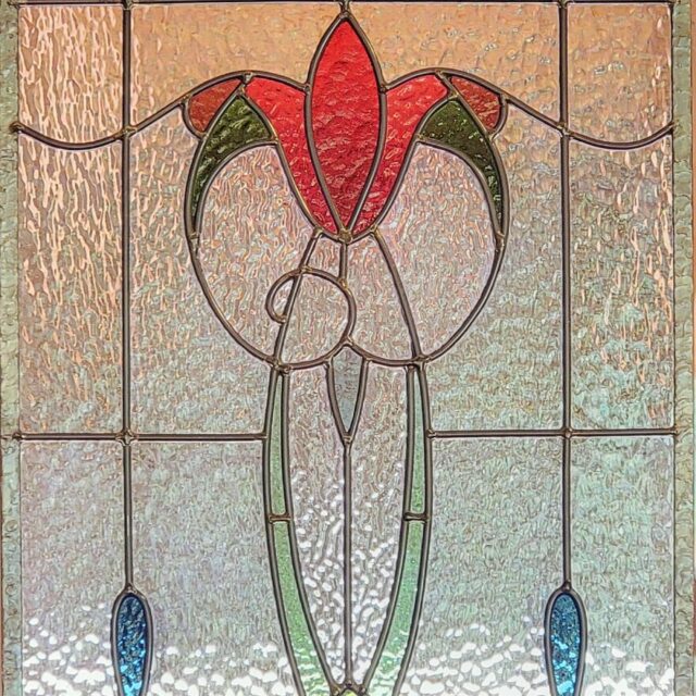Primrose by Holly Stedman