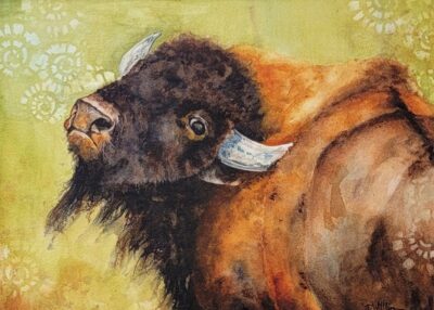 Bison Side Eye by Debra Williamson