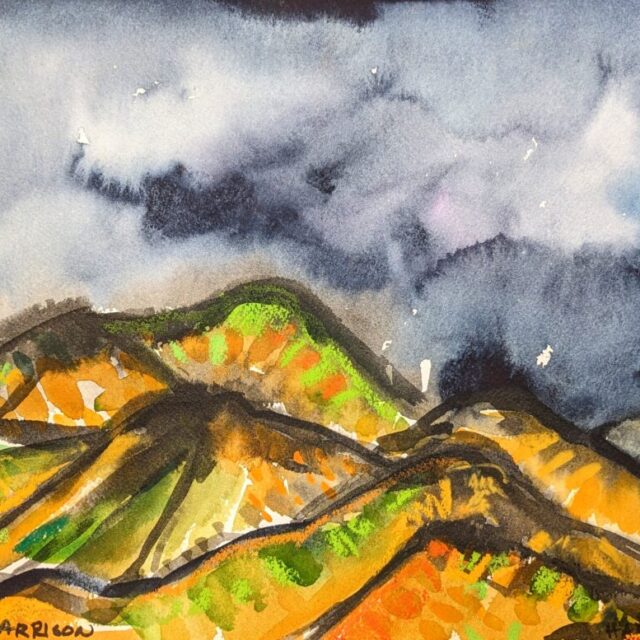 Sonoran Storm No2 2009 by Myrna Harrison