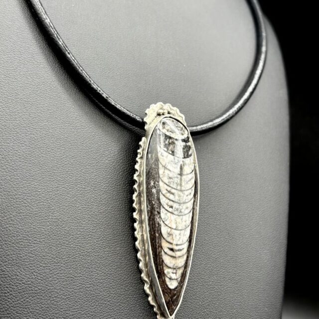 Fine Silver Orthoceras Fossil Necklace by Joan Roberts 4050n