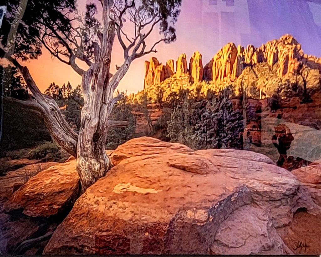 Winter’s Light by Shelly Wayne