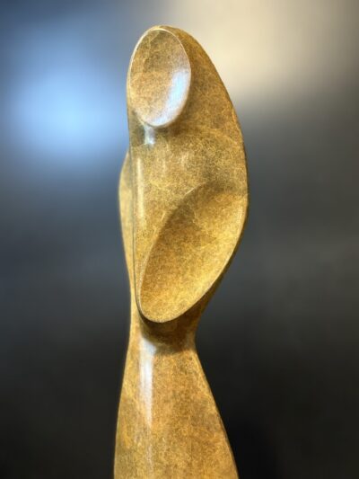 Desert Dreamer by Dennis Sohocki