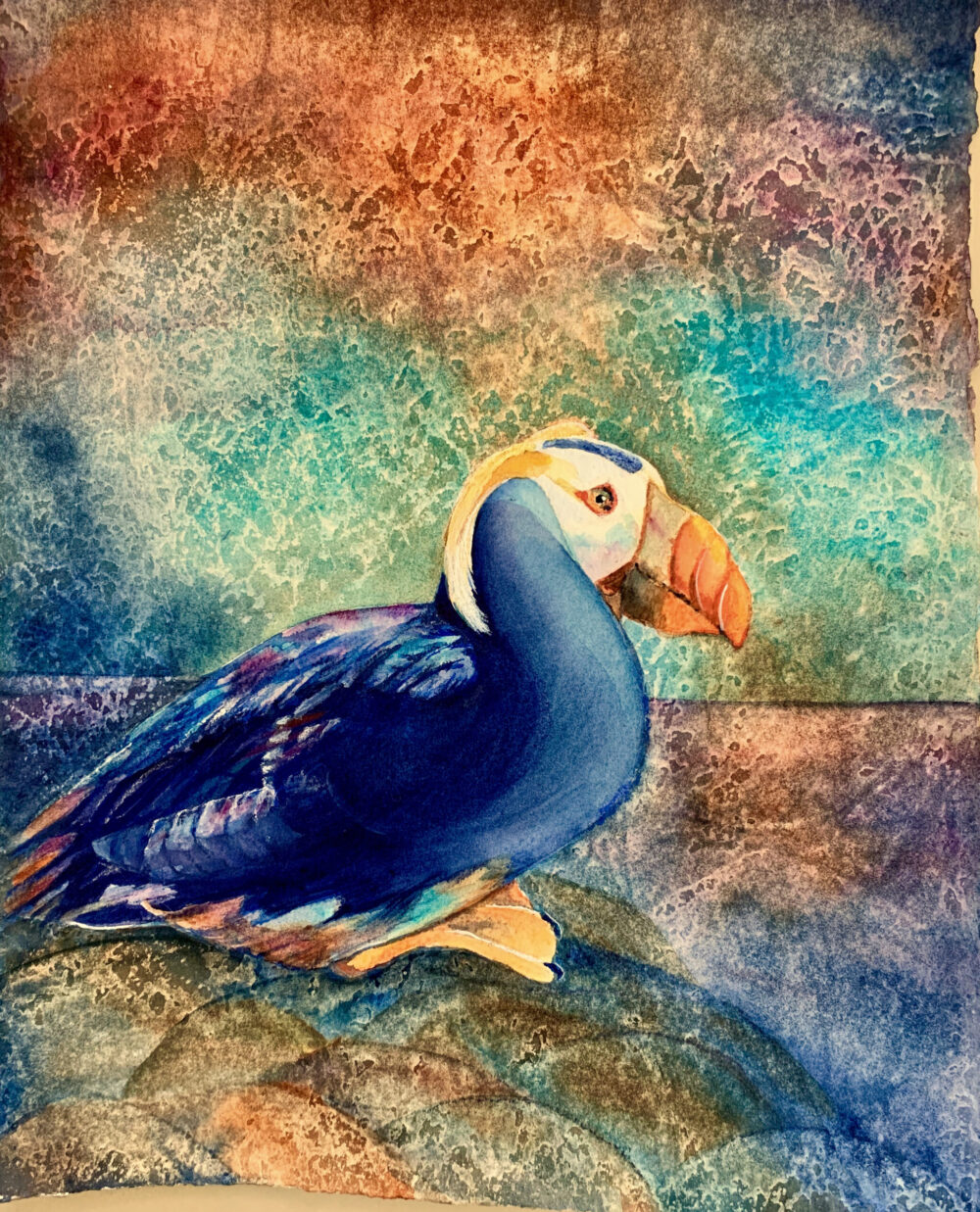 Pamela Haunschild bird