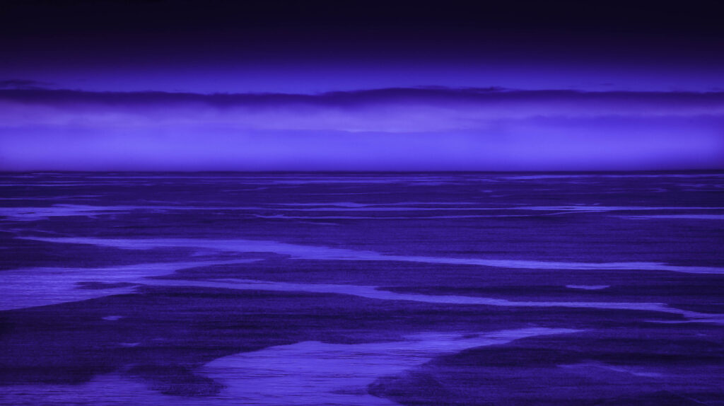 Pacific Patterns by Terry Shoulders