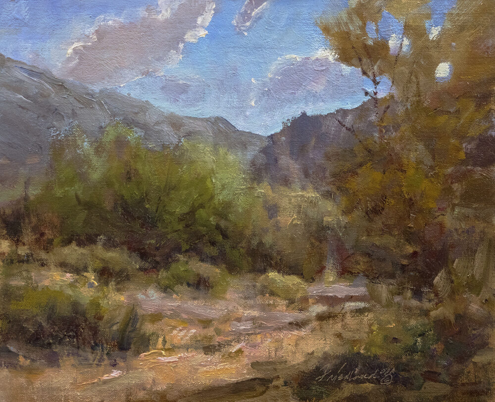 Palo Verdi Arroyo HFriedland