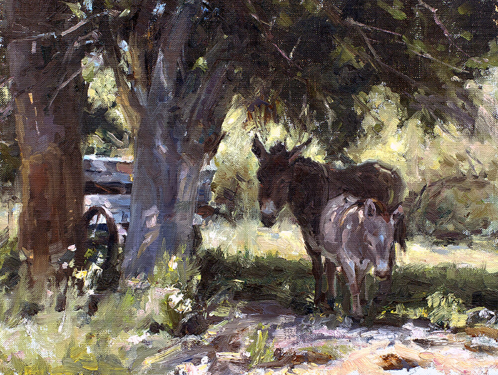 Seeking Shade 9x12 HFriedland