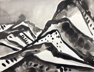 Landscape No2 California 2008 by Myrna Harrison