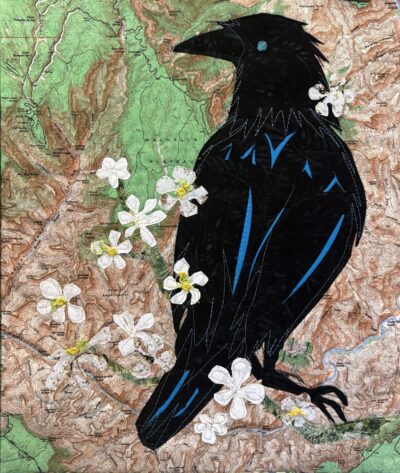 Canyon Raven by Sharon McGinnis