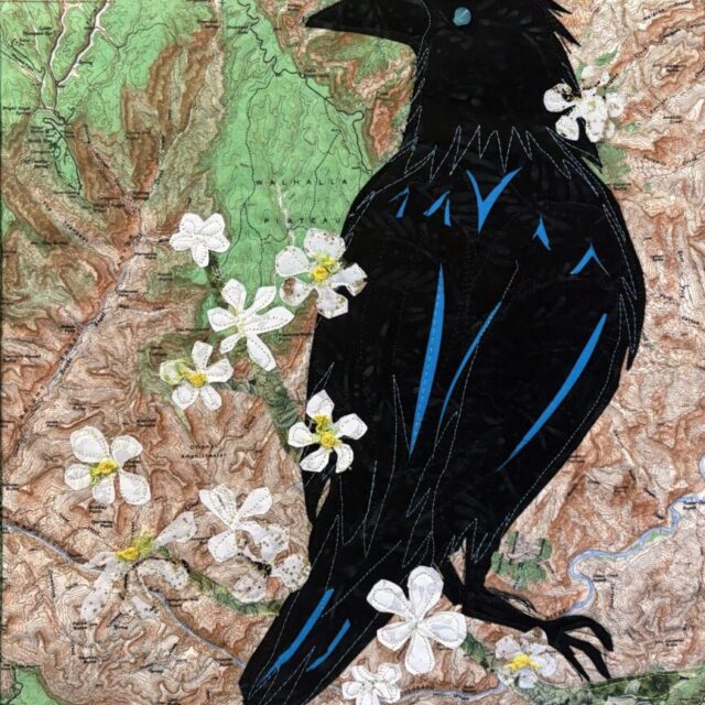 Canyon Raven by Sharon McGinnis