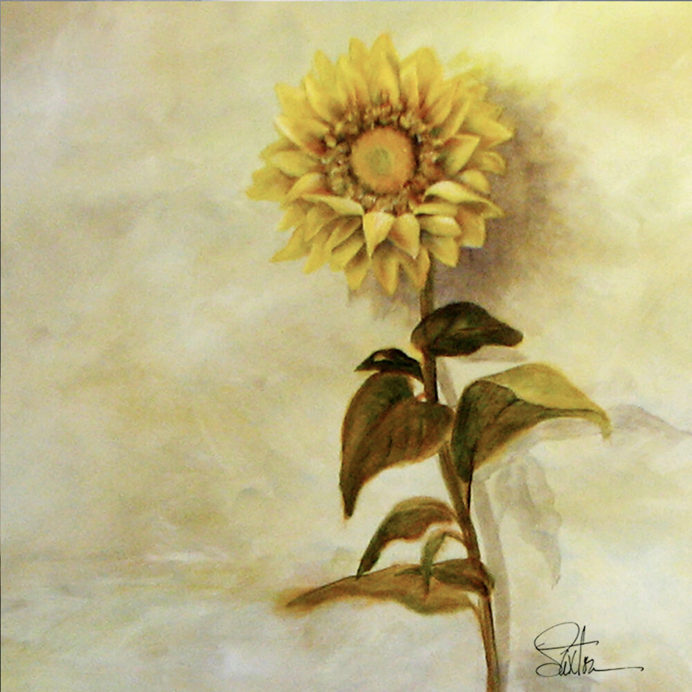 saxton_oil_sunflower