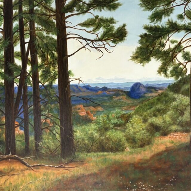 A Secret Place by Janet Weaver