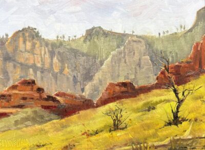 Canyon Shangri La by Ed Buonvecchio