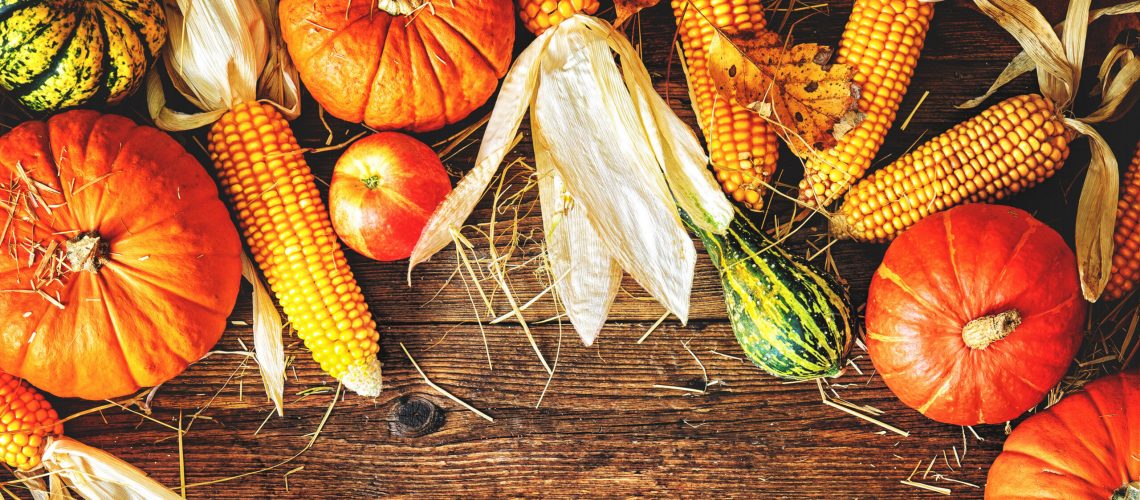 Harvest or Thanksgiving background with autumn vegetables and gourds on a rustic wooden table